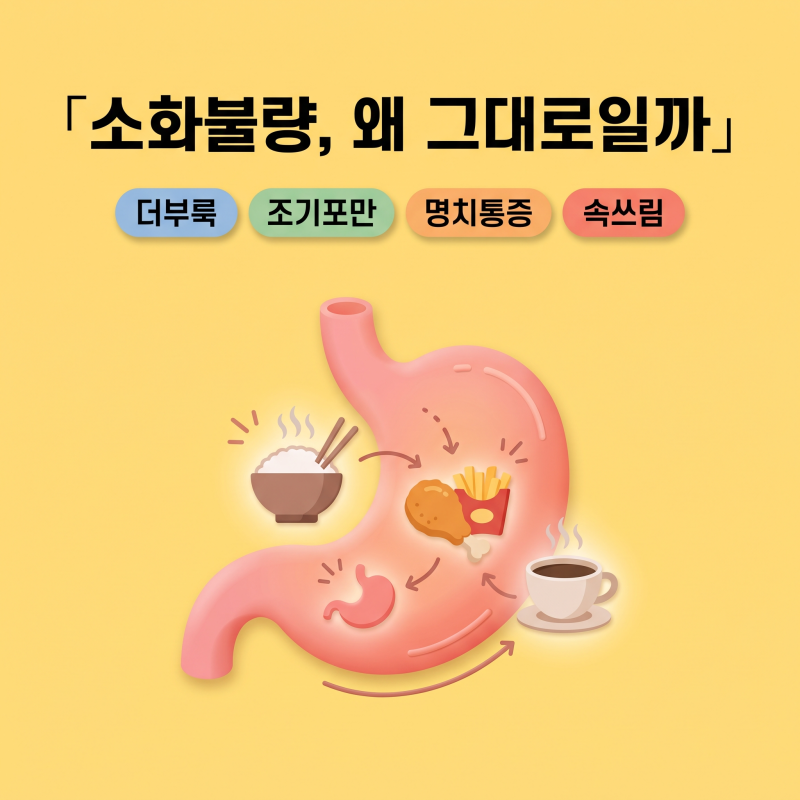 소화불량 원인과 자가진단: 위내시경 정상인데 계속 더부룩할 때 해결법