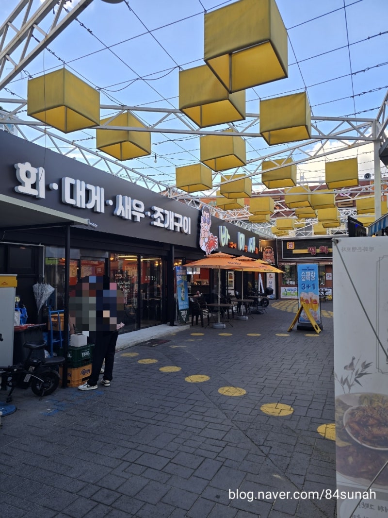 대구 신암동 평화시장 맛집 바미새, 회와 해산물 푸짐하게 먹고 왔어요