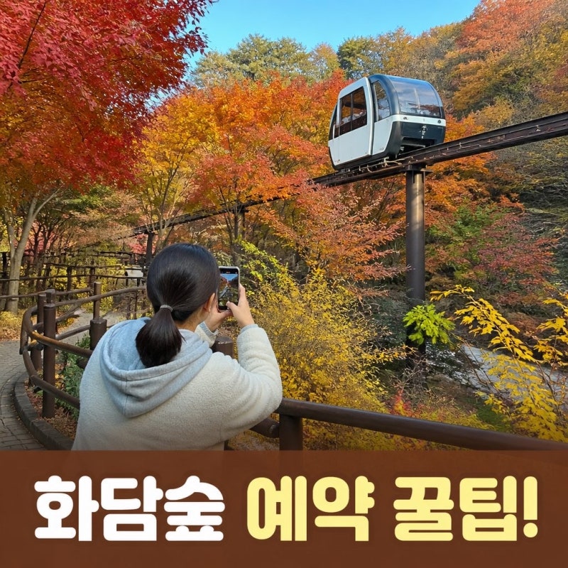화담숲 예약 오픈 날짜 놓치면 안 되는 예약 방법과 꿀팁
