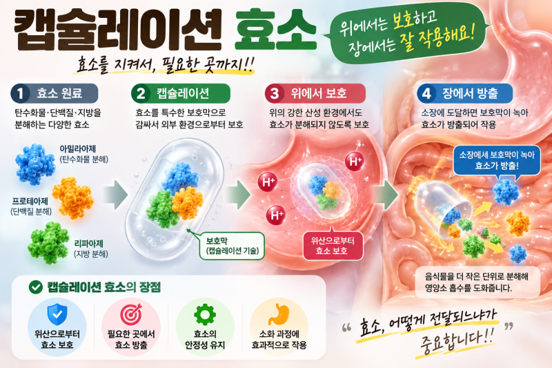 캡슐레이션 효소 효능, 그냥 효소랑 뭐가 다를까? 요즘 찾는 이유