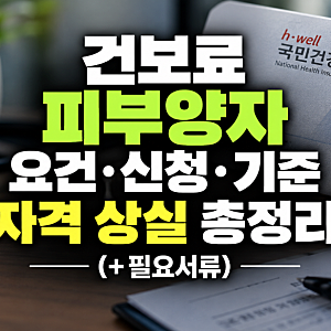 건보료 피부양자 요건, 신청, 기준, 자격 상실 총정리(+필요서류)
