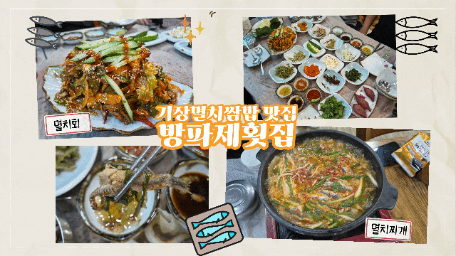 부산 기장 대변항 기장멸치쌈밥 현지인 맛집 방파제횟집 솔직후기