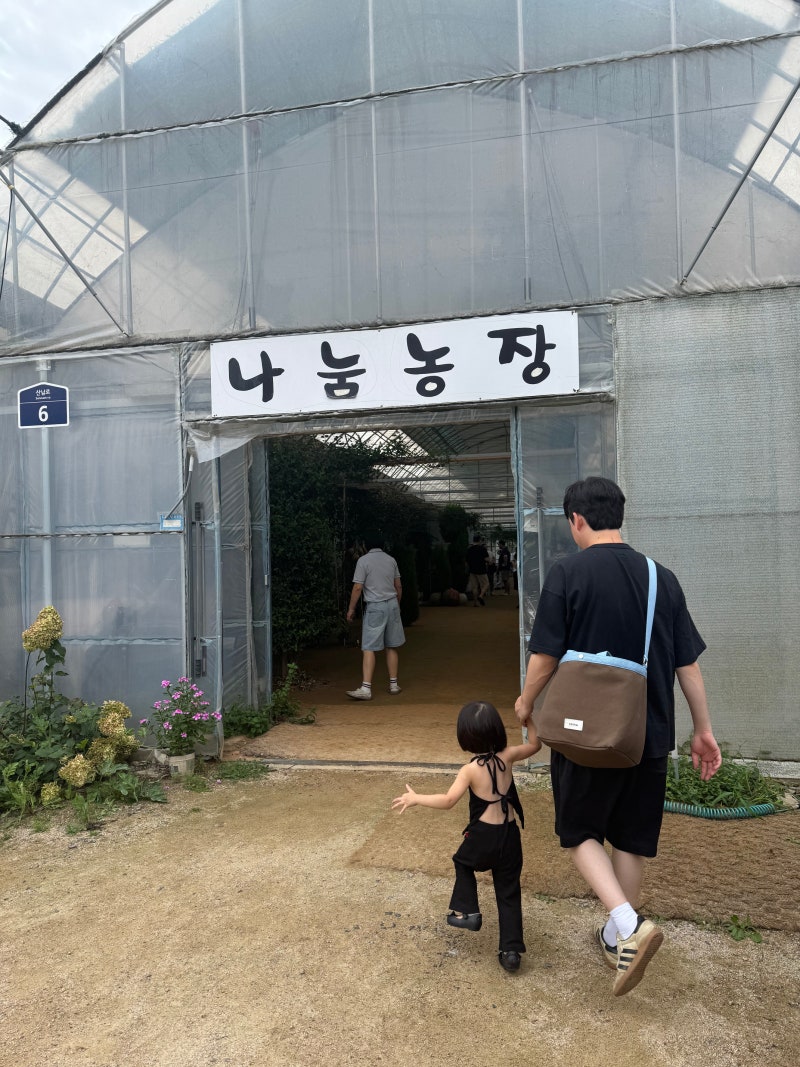 파주 아이와 가볼 만한 곳｜나눔농장 동물 먹이주기 체험 후기