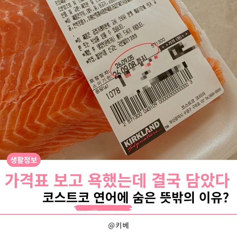 “가격표 보고 욕했는데 결국 담았다” 코스트코 연어에 숨은 뜻밖의 이유