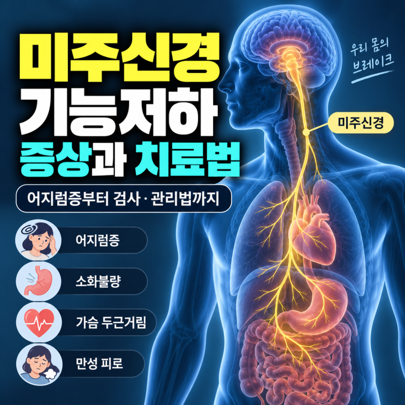 미주신경기능저하 증상 원인: 어지럼증부터 검사 및 치료법 총정리