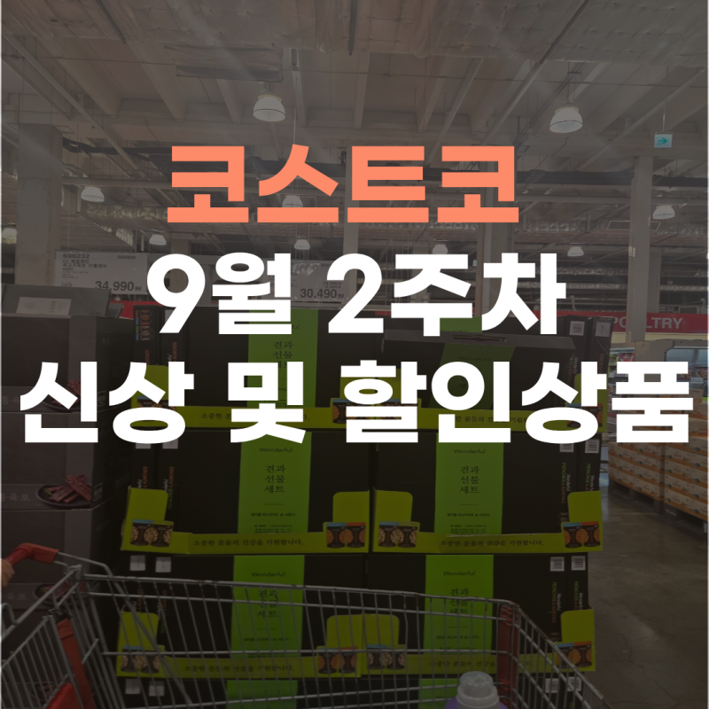 코스트코 9월 2주차 추석 선물세트 & 할인상품 총정리! 신상 추천템까지 파헤치기