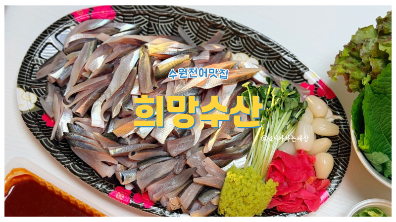 가을엔 수원전어맛집 수원농수산물시장횟집 희망수산