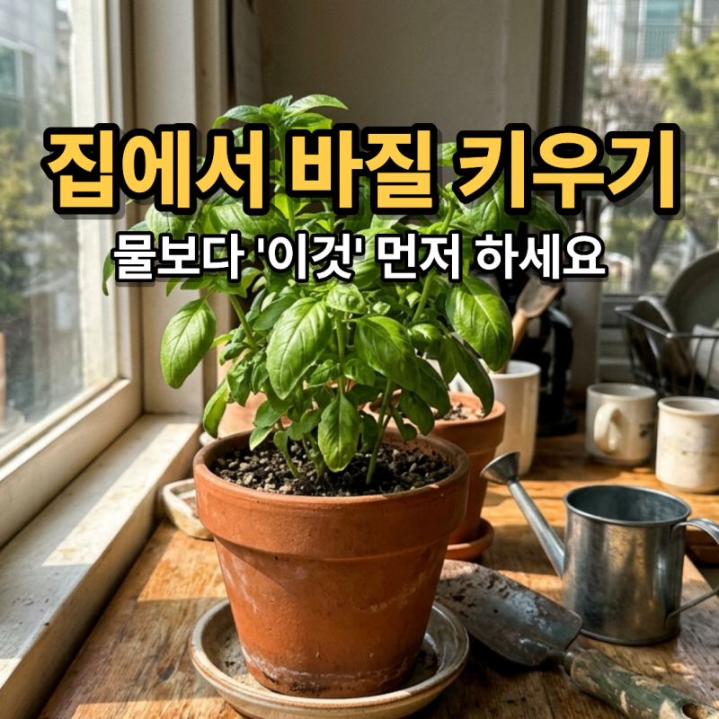 바질 키우기, 집에서 우리집 바질만 유독 안 자라는 이유는