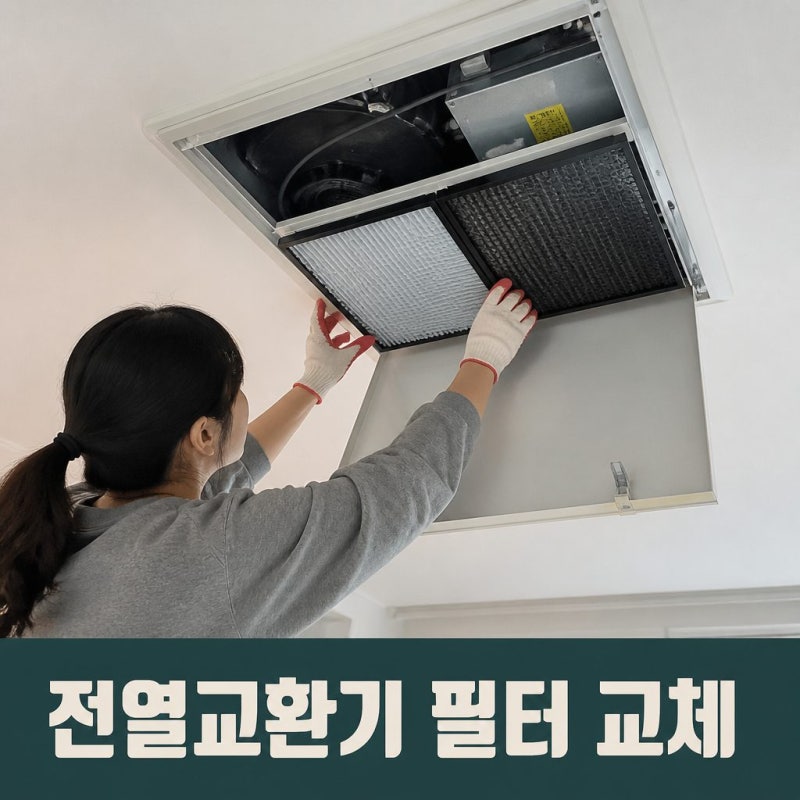 아파트 전열교환기 필터, 물로 씻어도 될까요?
