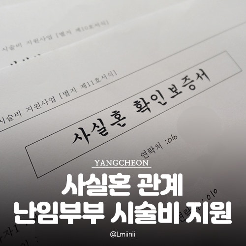 양천구 보건소 : 사실혼 관계 난임부부 시술비 지원 신청 방법 필요 서류
