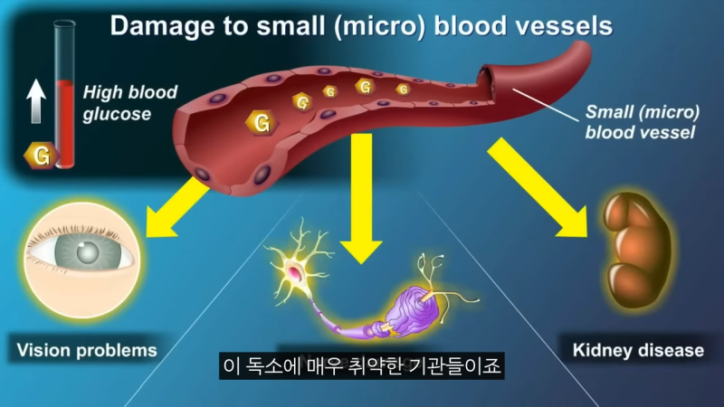 당화혈색소 정상범위는? 6.5% 숫자에만 집착하면 안 되는 이유