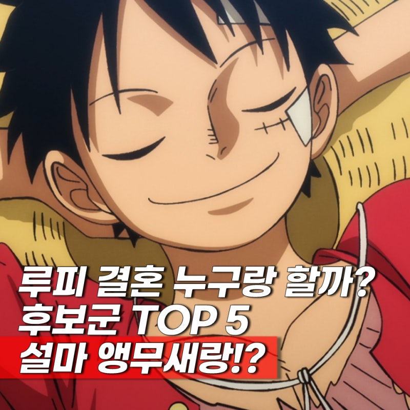 원피스 결말 루피 아내는 누구? 후보 TOP 5 반전 엔딩까지?