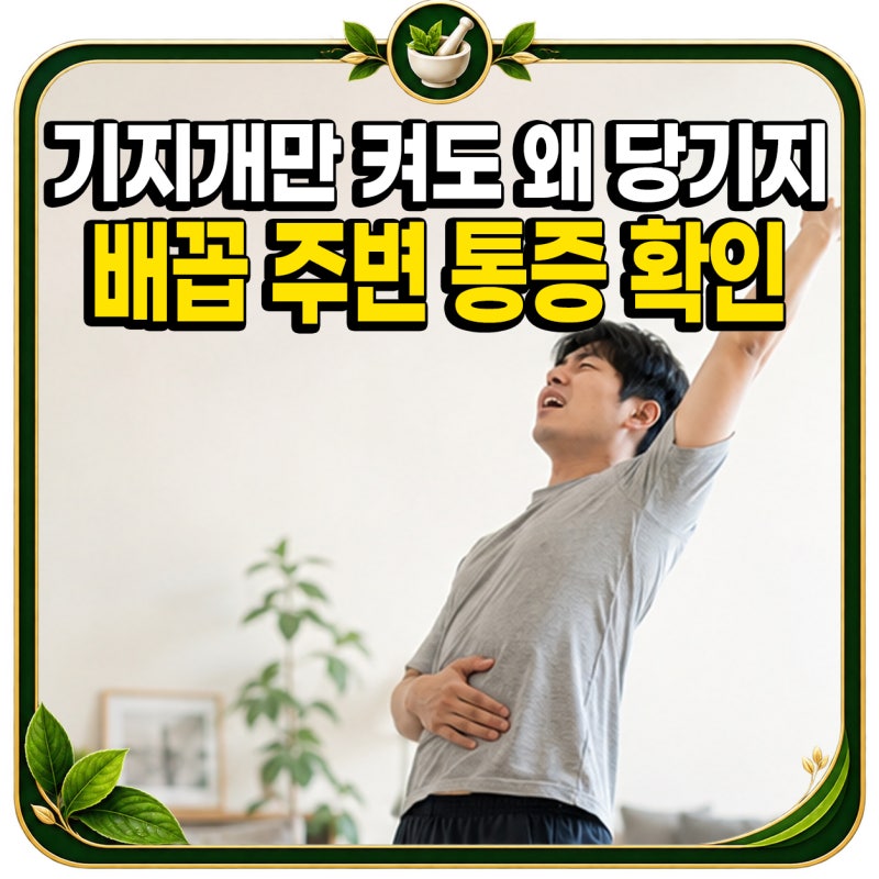 “기지개만 켜도 왜 당기지?” 배꼽 주변 통증, 그냥 근육통 아닐 때