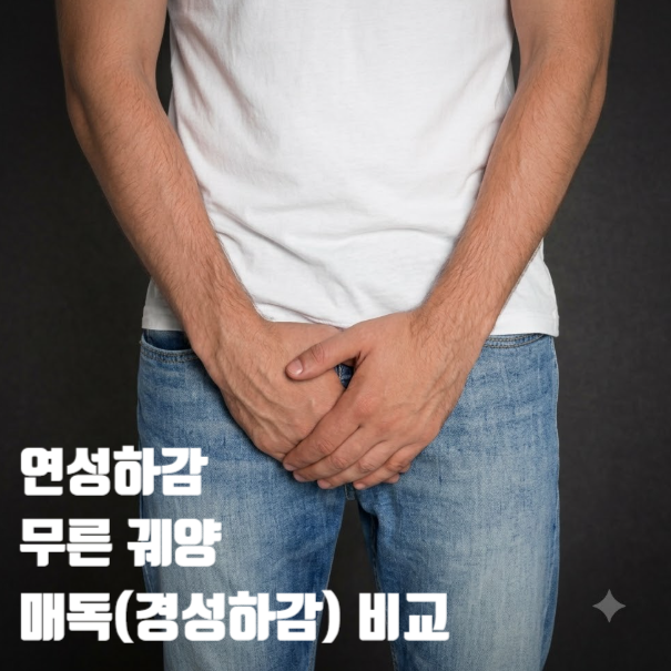연성하감 뜻, 무른 궤양 원인 증상 치료, 매독 경성하감 비교