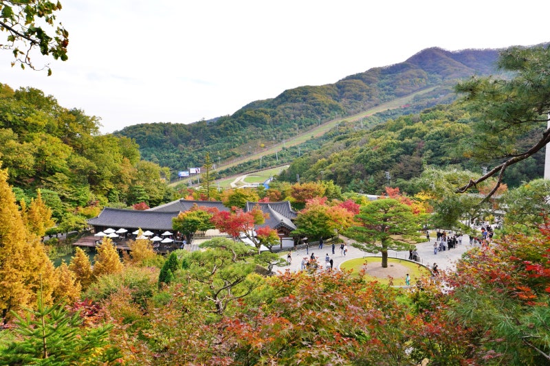 2026년 화담숲 예약 방법 단풍 시기 모노레일 애견동반 불가 경기도 광주 곤지암