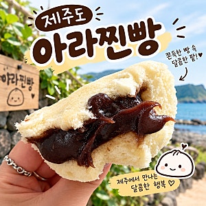 제주도 아라찐빵 한번에 예약 성공한 후기 예약 꿀팁 솔직 후기
