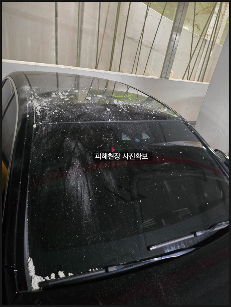 차량석회물제거 세차부터 할까, 보험접수부터 할까?