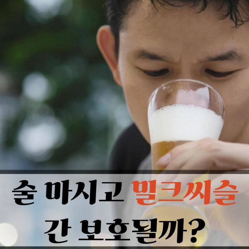 "밀크씨슬 정말 간에 좋나요?" 효능과 부작용 어디까지 알고 먹어야 할까
