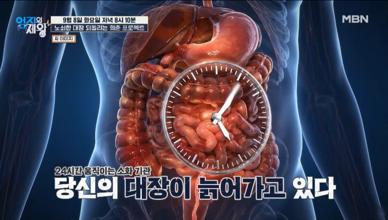 갱년기 변비 왜 심해질까? 유산균 고르는 법 정리 ｜엄지의 제왕 대장 노화