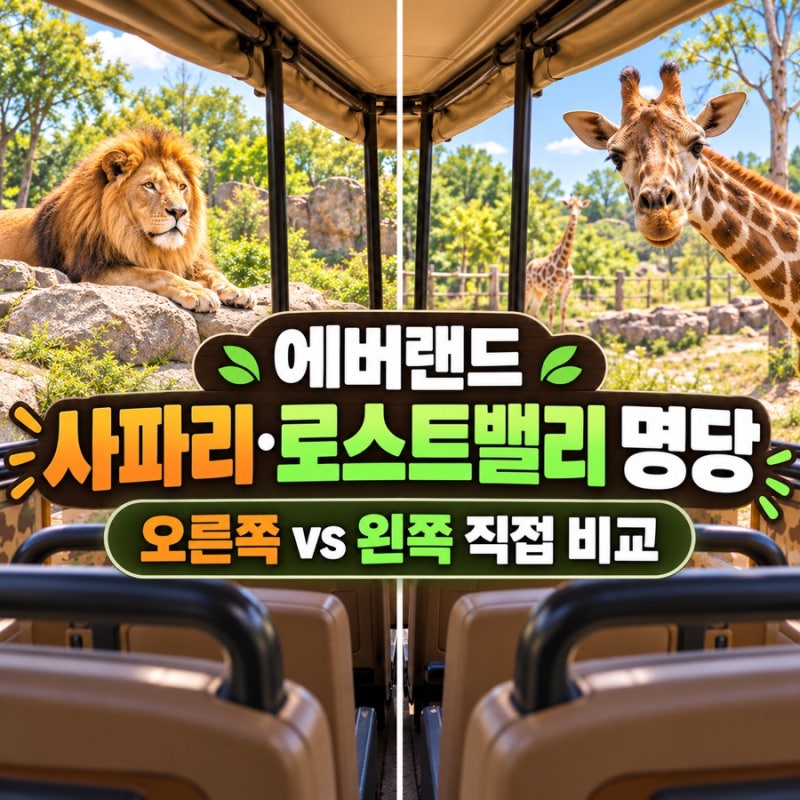 에버랜드 사파리 명당 오른쪽 로스트밸리 명당 왼쪽 진짜일까? 직접 다녀온 후기