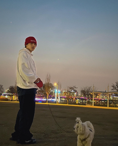 "팬들까지 반했다"...최애의 최애 '아이돌 반려견' 4