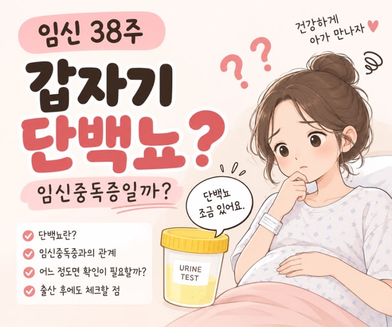 임산부 단백뇨｜38주 막달검진에서 처음 나왔어요, 임신중독증과 관련 있을까?
