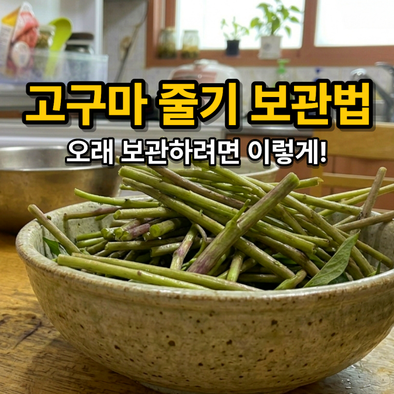 고구마줄기 보관방법, 손질부터 냉장·냉동까지 오래 보관하는 법