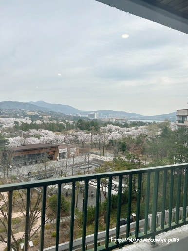 경주 한화리조트 담톤 리뷰
