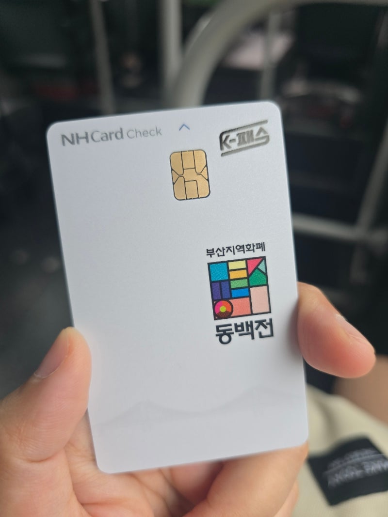 부산 동백전 K패스 카드 발급, 새로 안 만들어도 되는 이유와 모두의 카드 등록법