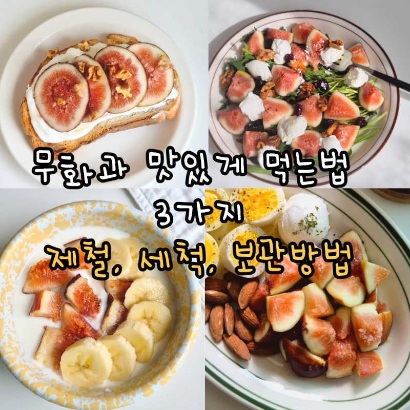무화과 맛있게 먹는법 3가지 제철 세척 보관법까지 총정리