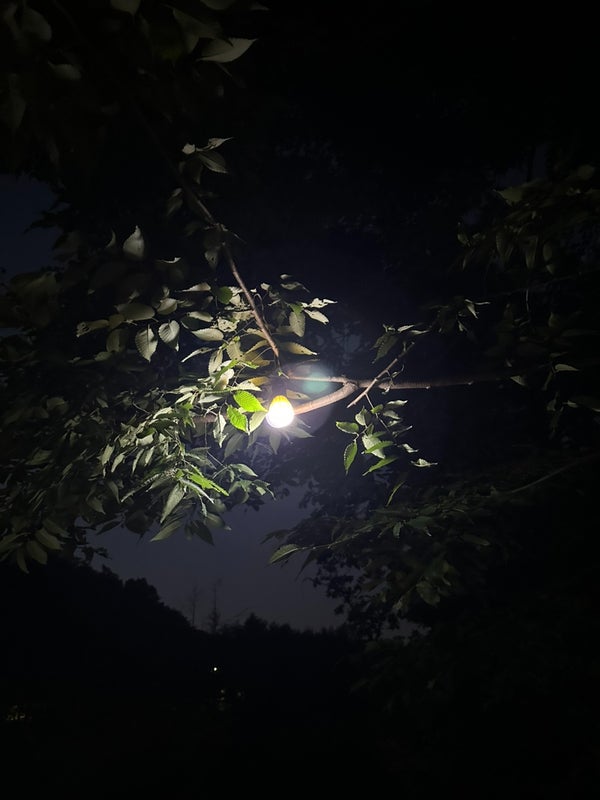 @luckyjinsol / 대구 근교 아기랑가기 좋은 오토 캠핑장 청도자연휴양림