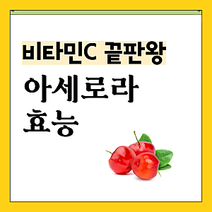 비타민C 끝판왕이라는 아세로라, 색깔에 따라 효능이 다르다는데 진짜일까?
