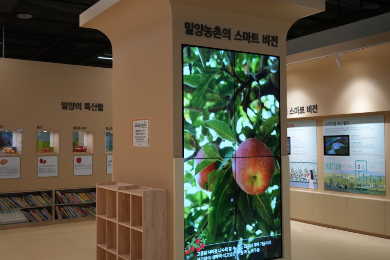 밀양 아이와 가볼만한곳 무료 체험 선샤인테마파크 농촌테마공원
