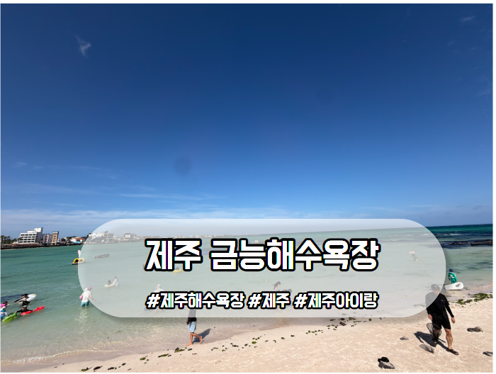 제주 금능해수욕장 아이와 가볼만한곳 주차 평상 가격 해루질