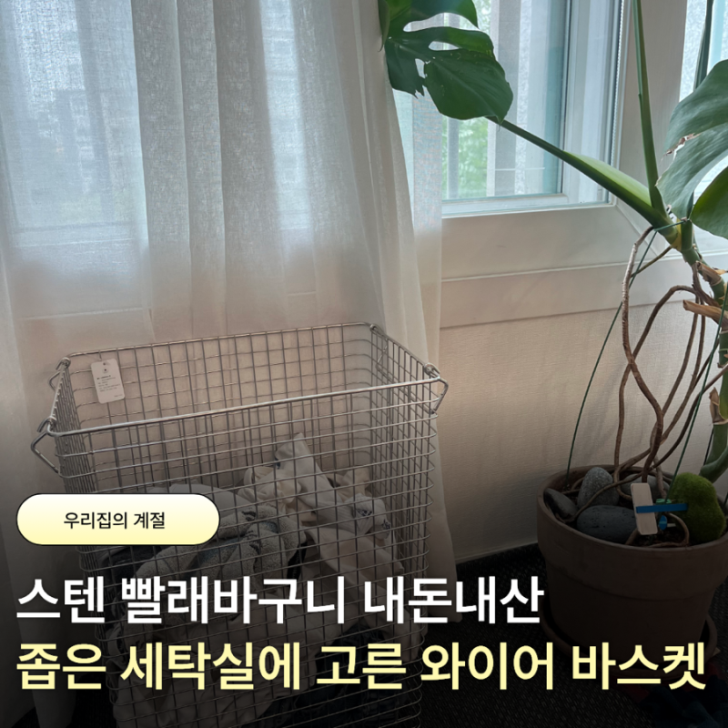 스텐 빨래바구니 내돈내산 좁은 세탁실에 고른 XL5 와이어 바스켓