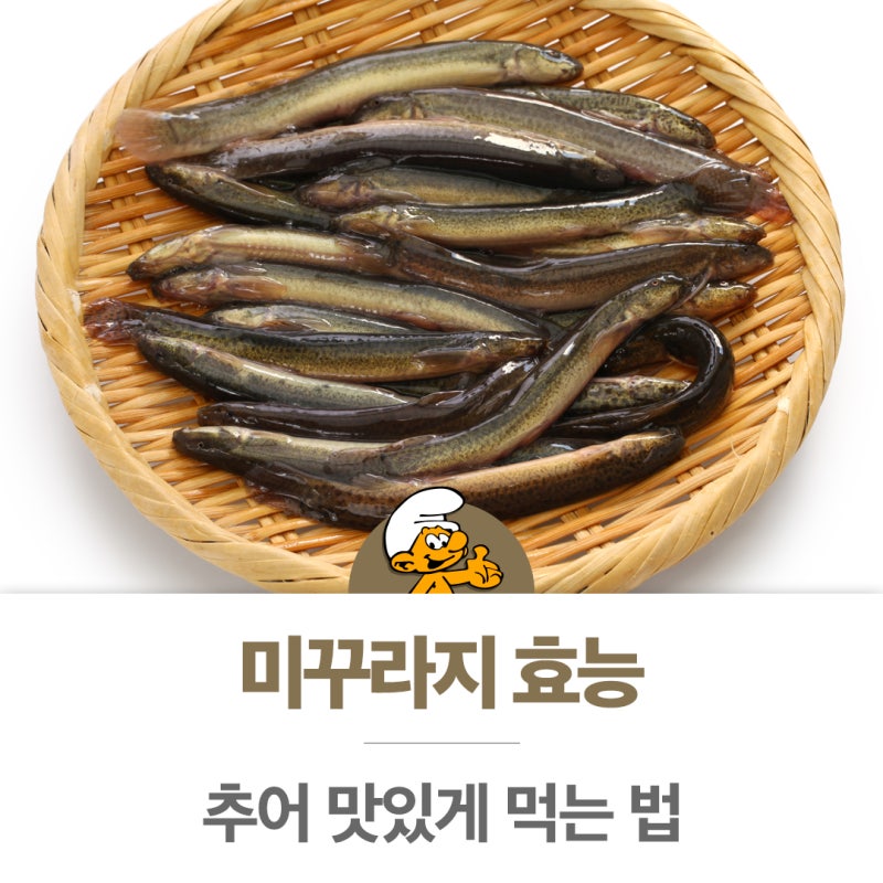 미꾸라지 효능부터 추어 맛있게 먹는 법까지 제대로 알아보기