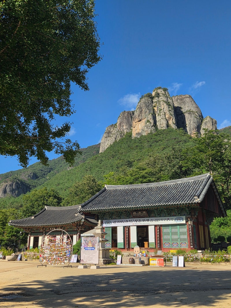 청송 가을나들이 추천 주왕산국립공원 대전사 트래킹 코스
