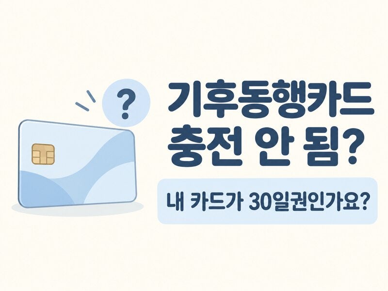 기후동행카드 충전 안됨｜30일권 종료 후 사용기한 확인하기