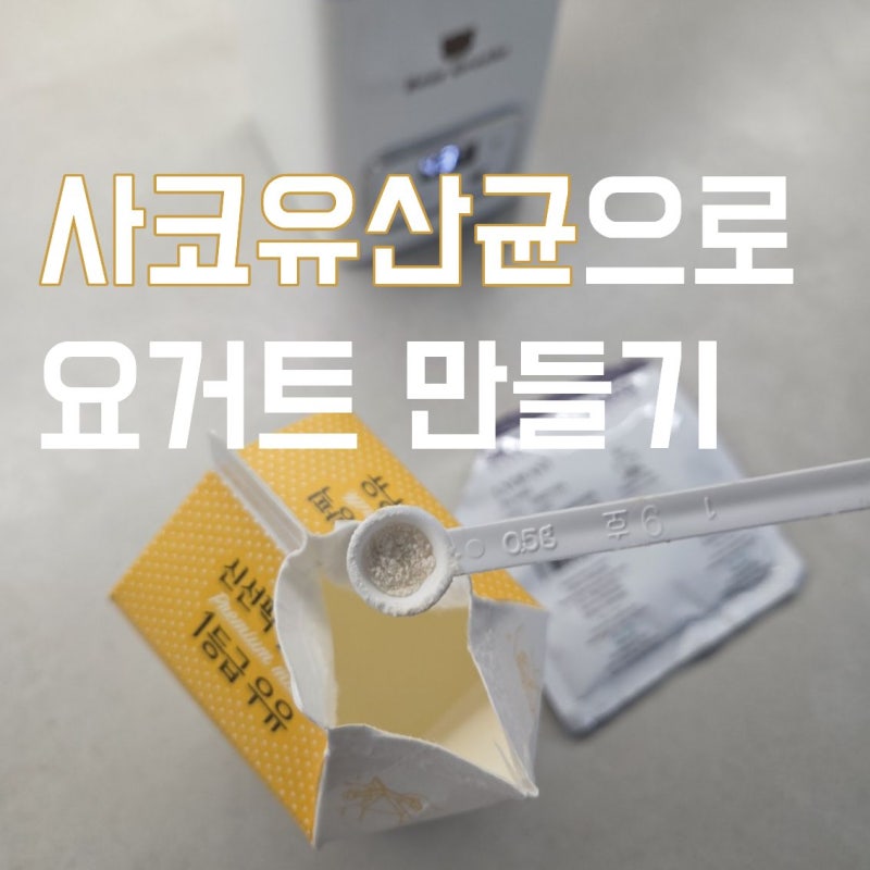 사코 유산균 YO-MILD 내돈내산 후기│신맛 없이 고소한 요거트 만들기