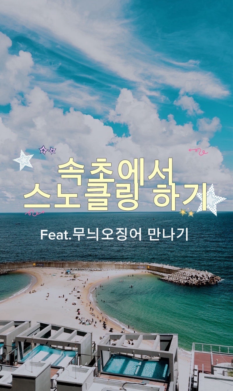 속초 등대해수욕장 스노클링 포인트 (무늬오징어 만나기)
