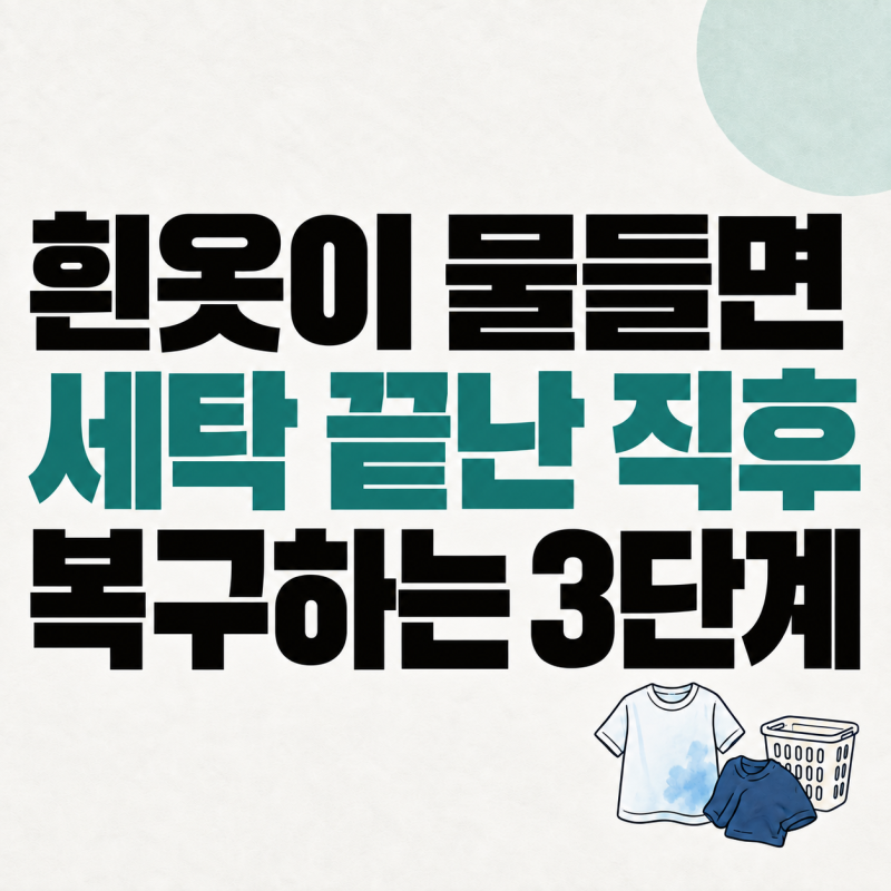 흰옷이 이염됐다면 세탁 직후 시작할 복구 3단계