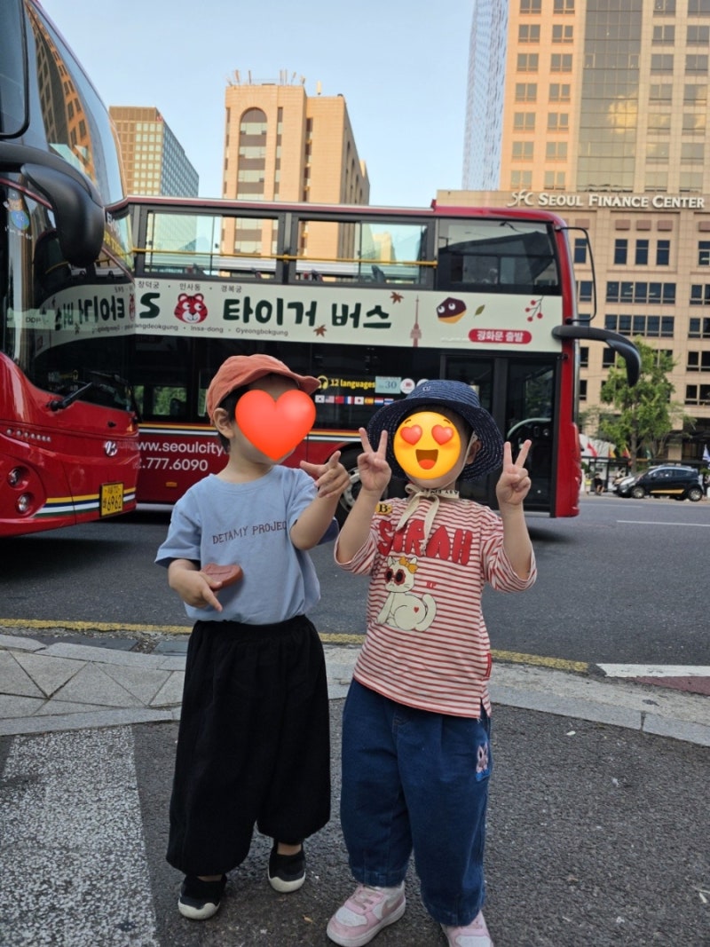 아이랑 서울시티투어버스, 타이거버스