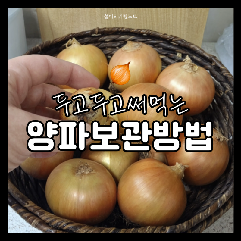양파 보관방법 냉장고에 바로 넣으면 안 되는 이유