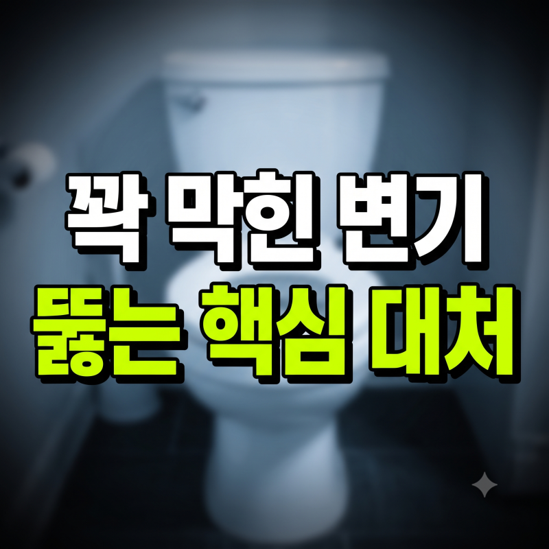 꽉 막힌 변기 뚫는법, 뚫어뻥 없이 샴푸 페트병 비닐로 해결하는 팁