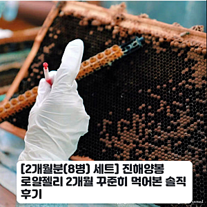 매일 챙기는 진해양봉 생로얄젤리 8병, 2개월 체험 기록