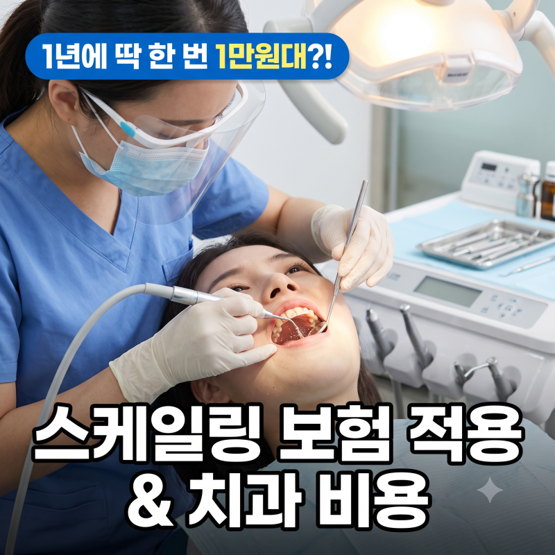 스케일링 건강보험 적용 주기 본인부담금 비용 및 치석제거 통증 치아 벌어짐 오해 총정리