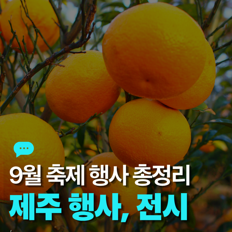 2026 제주 축제 9월 일정- 함덕 레저힐링축제부터 해녀축제까지 지역별 정리