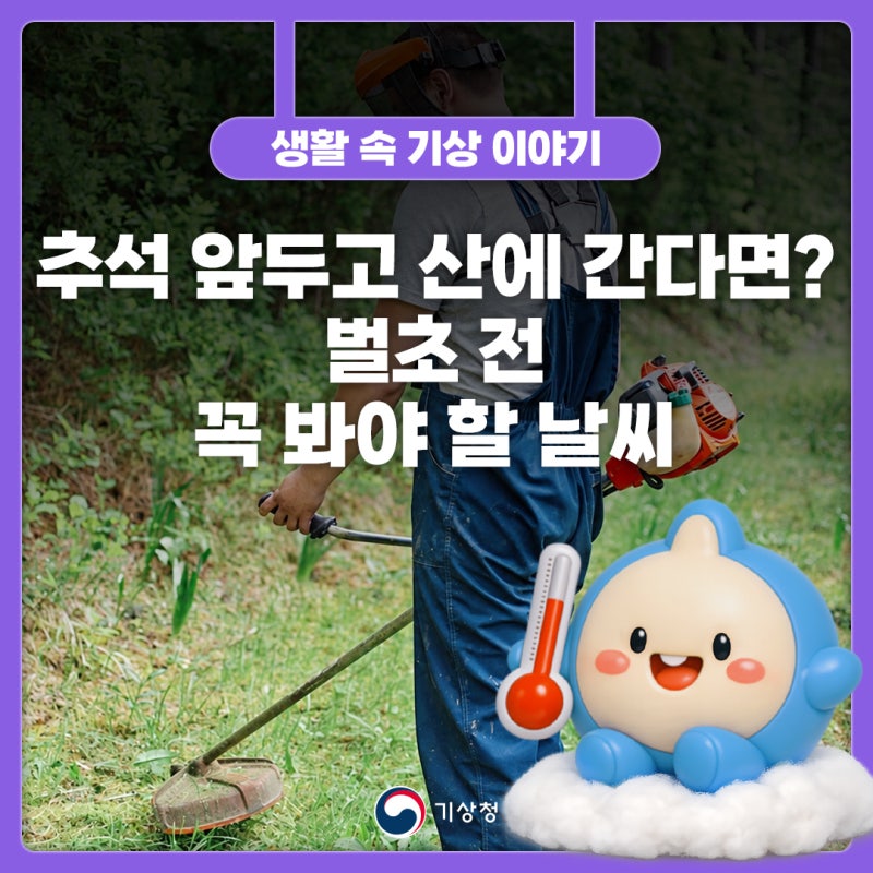 추석 앞두고 산에 간다면? 벌초 전 꼭 봐야 할 날씨