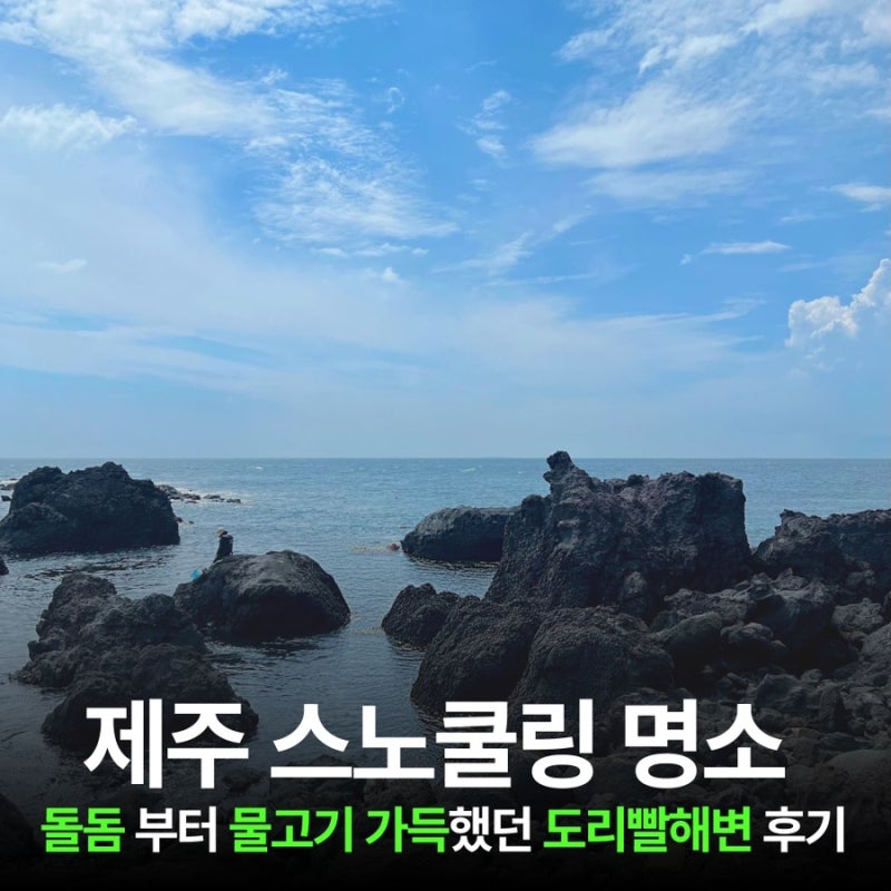 How to Get to Jeju's Snorkeling Hotspot, Doribbal Beach | Review of Doribbal Beach Snorkeling Point