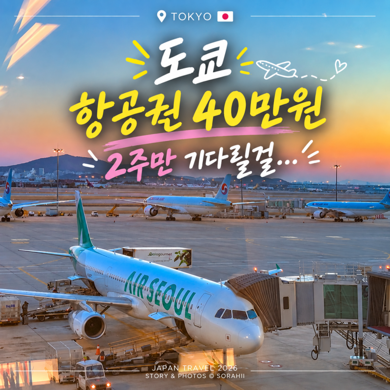 도쿄 항공권 가격 40만원에 샀는데 2주 뒤 떨어졌다 에어서울 RS705 후기
